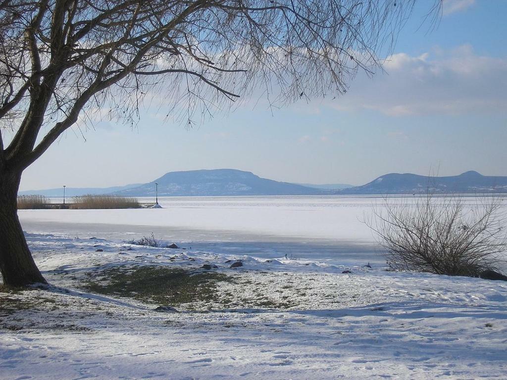 Oak Residents Siofok Appartement Buitenkant foto